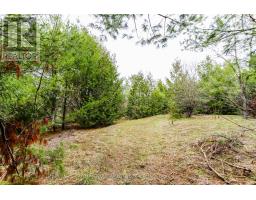 2790 Old Second Road S, Springwater, ON L9X1P6 Photo 20