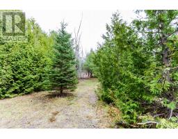 2790 Old Second Road S, Springwater, ON L9X1P6 Photo 21