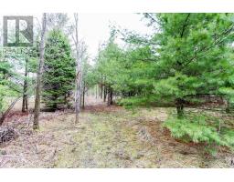 2790 Old Second Road S, Springwater, ON L9X1P6 Photo 22