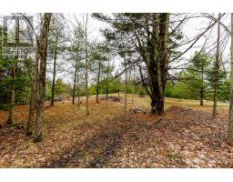2790 Old Second Road S, Springwater, ON L9X1P6 Photo 23