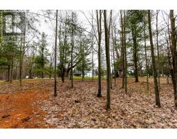 2790 Old Second Road S, Springwater, ON L9X1P6 Photo 24