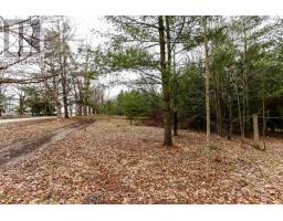 2790 Old Second Road S, Springwater, ON L9X1P6 Photo 25