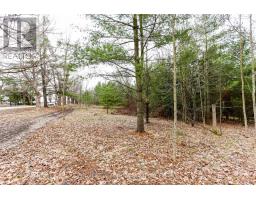 2790 Old Second Road S, Springwater, ON L9X1P6 Photo 26