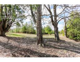 2790 Old Second Road S, Springwater, ON L9X1P6 Photo 6