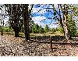 2790 Old Second Road S, Springwater, ON L9X1P6 Photo 7