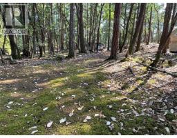 374 Halibut Hill Rd, Mudge Island, BC V0V0V0 Photo 32