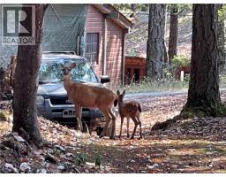 374 Halibut Hill Rd, Mudge Island, BC V0V0V0 Photo 33
