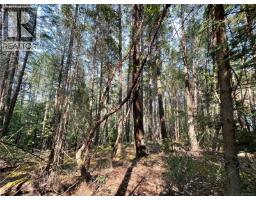 Lot 30 View Ridge Rd, Mudge Island, BC V0R1X0 Photo 13