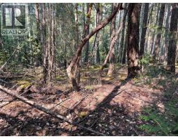 Lot 30 View Ridge Rd, Mudge Island, BC V0R1X0 Photo 11