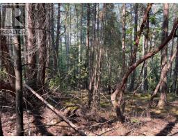 Lot 30 View Ridge Rd, Mudge Island, BC V0R1X0 Photo 12