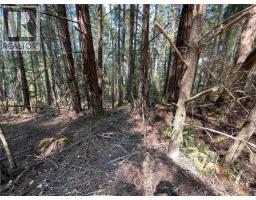 Lot 30 View Ridge Rd, Mudge Island, BC V0R1X0 Photo 14