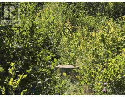 49740 Cabot Trail, Goose Cove, NS B0E1B0 Photo 9