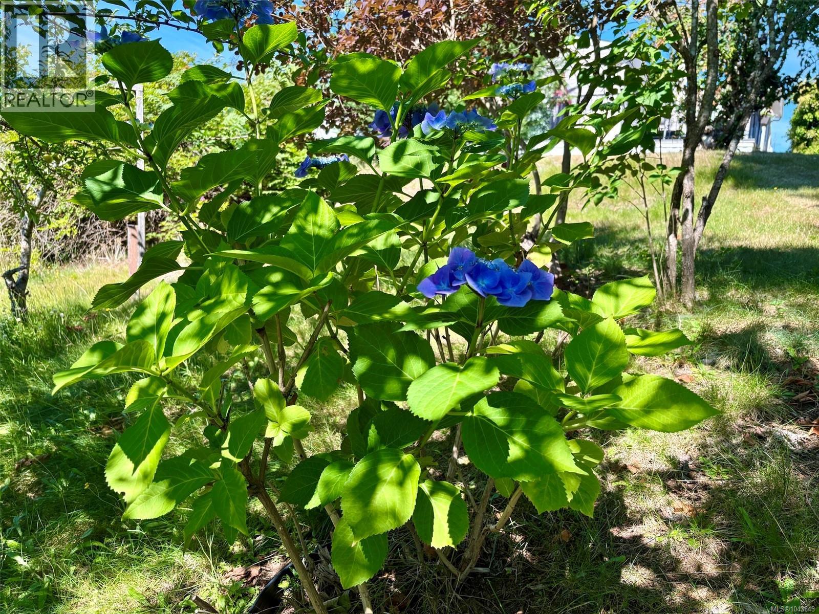 #30 4714 Muir Rd - Image 32