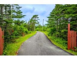 510 Salmonier Line thumbnail 50
