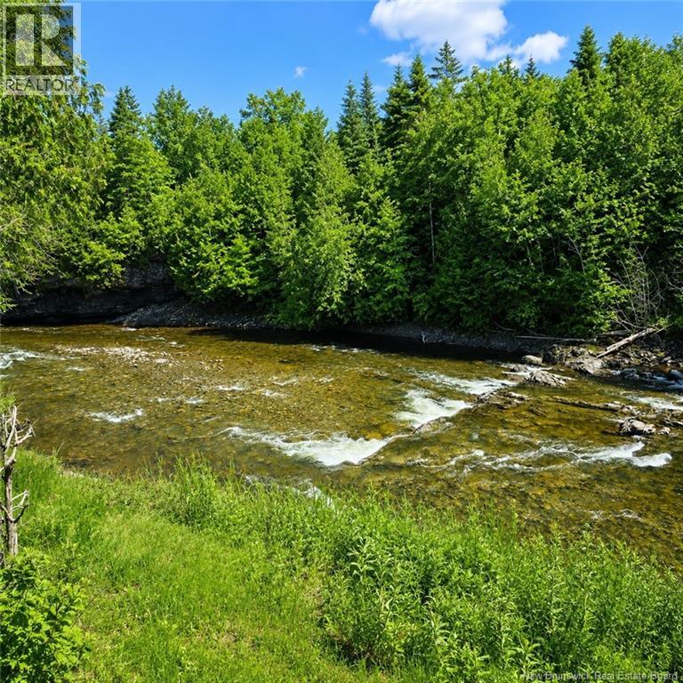 429 Acadie - 13