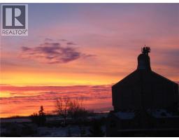 4 Kautz Close, Lyalta, AB T0J1Y1 Photo 7