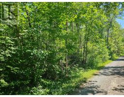 0 Shanval Lane, Marmora And Lake, ON K0K2M0 Photo 7