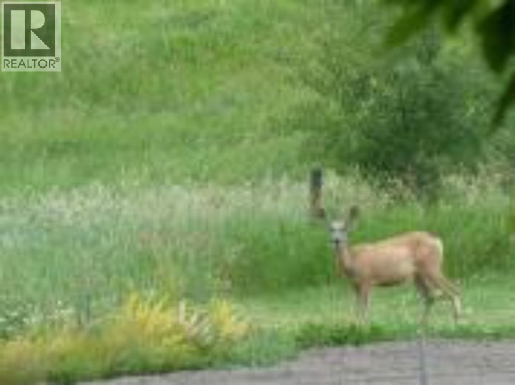 420069 Range Road 284 - Photo 11