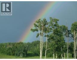 26, 420069 Range Road 284, Rural Ponoka County, AB T4J1R3 Photo 24