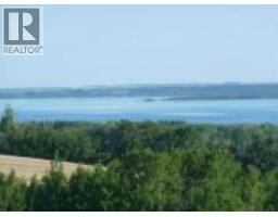 26, 420069 Range Road 284, Rural Ponoka County, AB T4J1R3 Photo 9