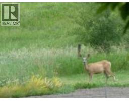 26, 420069 Range Road 284, Rural Ponoka County, AB T4J1R3 Photo 11