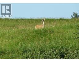 1, 420069 Range Road 284, Rural Ponoka County, AB T4J1R3 Photo 11
