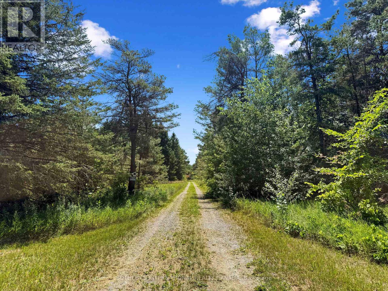 499 CONCESSION RD 4 EAST ROAD - 42