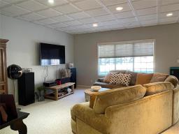36131 Pr 303 Road, Steinbach, MB R5G1P8 Photo 25