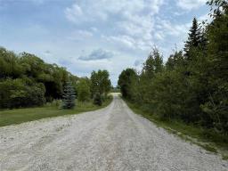 36131 Pr 303 Road, Steinbach, MB R5G1P8 Photo 38