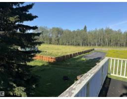 4104 Twp Road 473a, Rural Brazeau County, AB T0C0P0 Photo 34