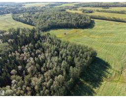 4104 Twp Road 473a, Rural Brazeau County, AB T0C0P0 Photo 49