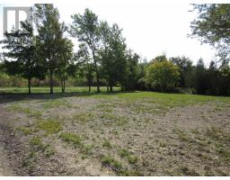 11981 Morris Road, Niagara Falls, ON L3B5N4 Photo 23