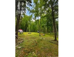 1507 Shediac River Road, Shediac River, NB E4R1V5 Photo 49