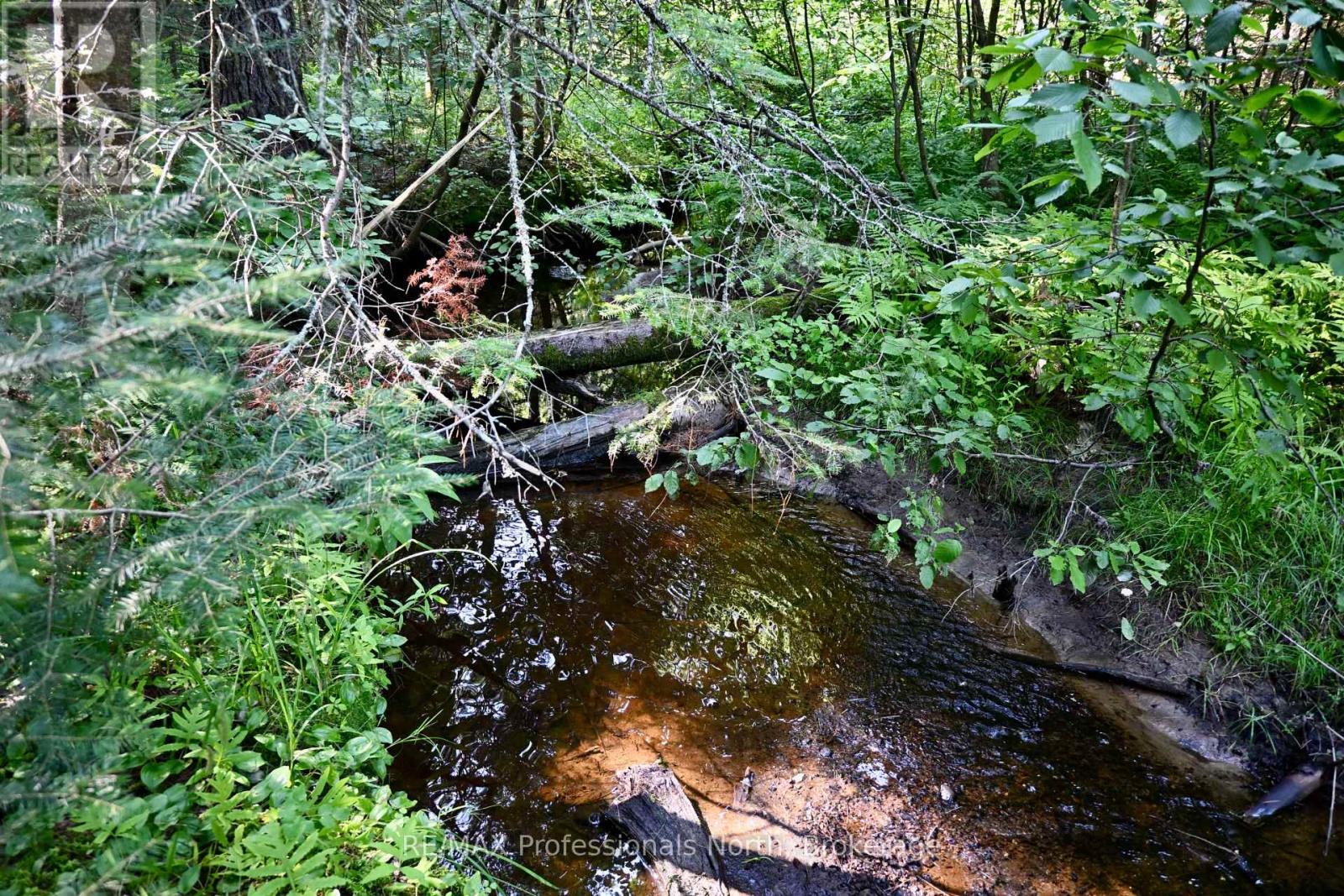 242 DEER LAKE ROAD - 45