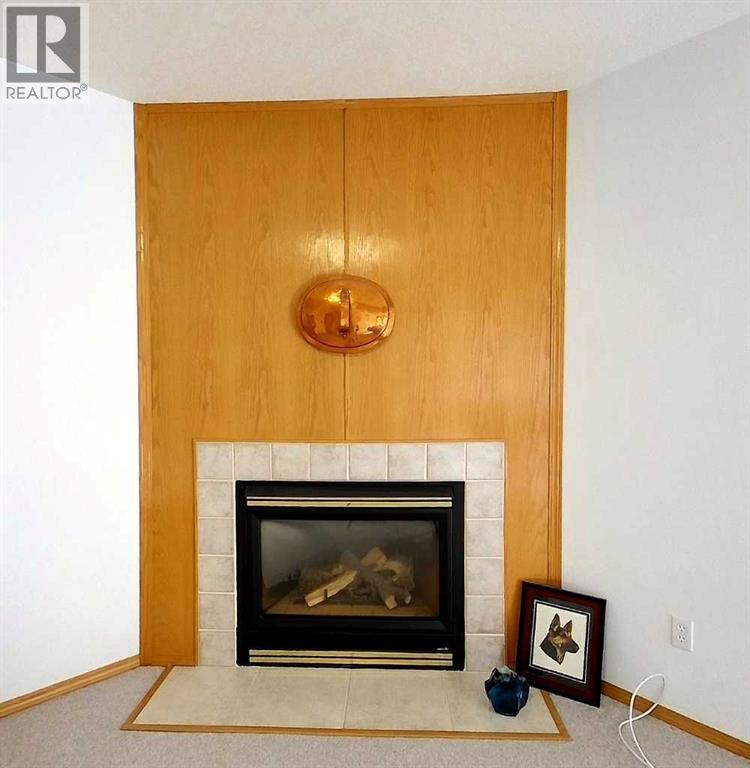 53419A Range Road 161 - Image 25
