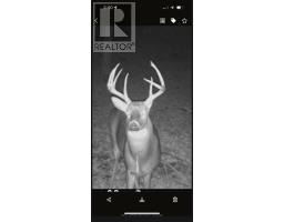 509 Road Road, Frontenac, ON K0H1J0 Photo 8