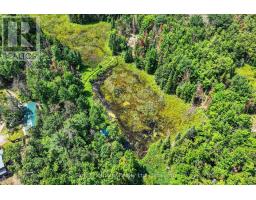 82 Kennedy Drive, Trent Lakes, ON K0M1A0 Photo 39