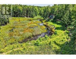 82 Kennedy Drive, Trent Lakes, ON K0M1A0 Photo 41