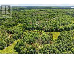 82 Kennedy Drive, Trent Lakes, ON K0M1A0 Photo 44