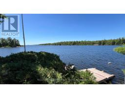 140 Norris Island, Parry Sound Remote Area, ON P0M2N1 Photo 44
