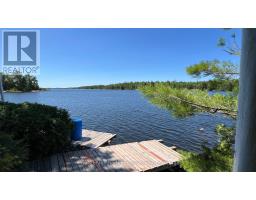 140 Norris Island, Parry Sound Remote Area, ON P0M2N1 Photo 45