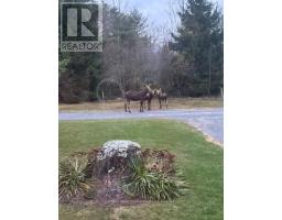 7 Hawk Street, Kawartha Lakes, ON K0M2T0 Photo 41