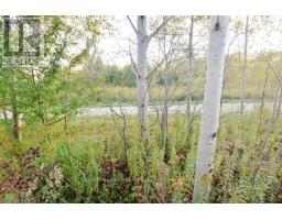 150 Winters Way, Shelburne, ON L9V3Y1 Photo 50