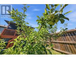 360 Dover Avenue, Norfolk, ON N0A1N9 Photo 35