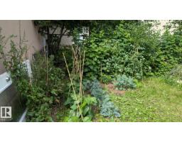 11724 88 St Nw, Edmonton, AB T5B3R7 Photo 27