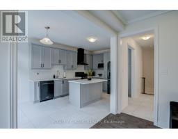 Laundry room - 51 Rosewell Crescent, Halton Hills, ON L7G0N4 Photo 8