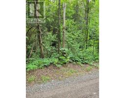 8 St. Marks Road, Stirling Rawdon, ON K0K2M0 Photo 29