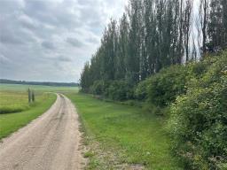 104129 Pr262 Road, Erickson, MB R0J0P0 Photo 10