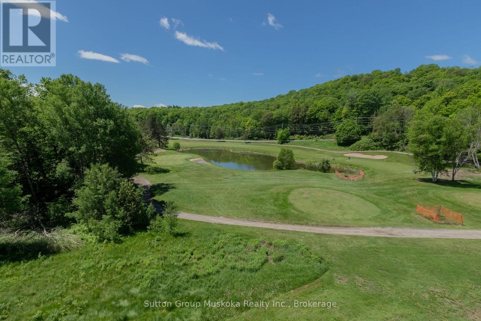 #54 54-305 DEERHURST, SUMMIT LODGE DRIVE - 21