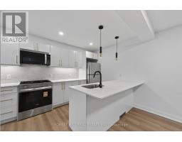 R - Garden - 221 Churchill Avenue, Toronto, ON M2N1X6 Photo 8